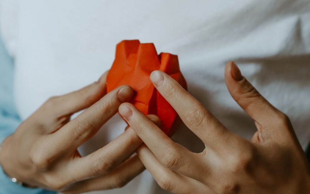 Persona che tiene un modello di cuore all altezza del petto